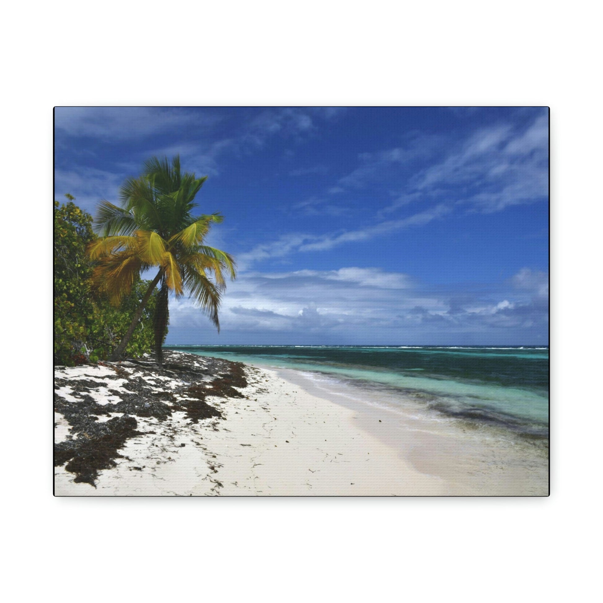 SMALL Canvas Gallery Wraps - Made in USA - Awesome and remote - Mona Island Pajaros beach PR - Green Forest Home