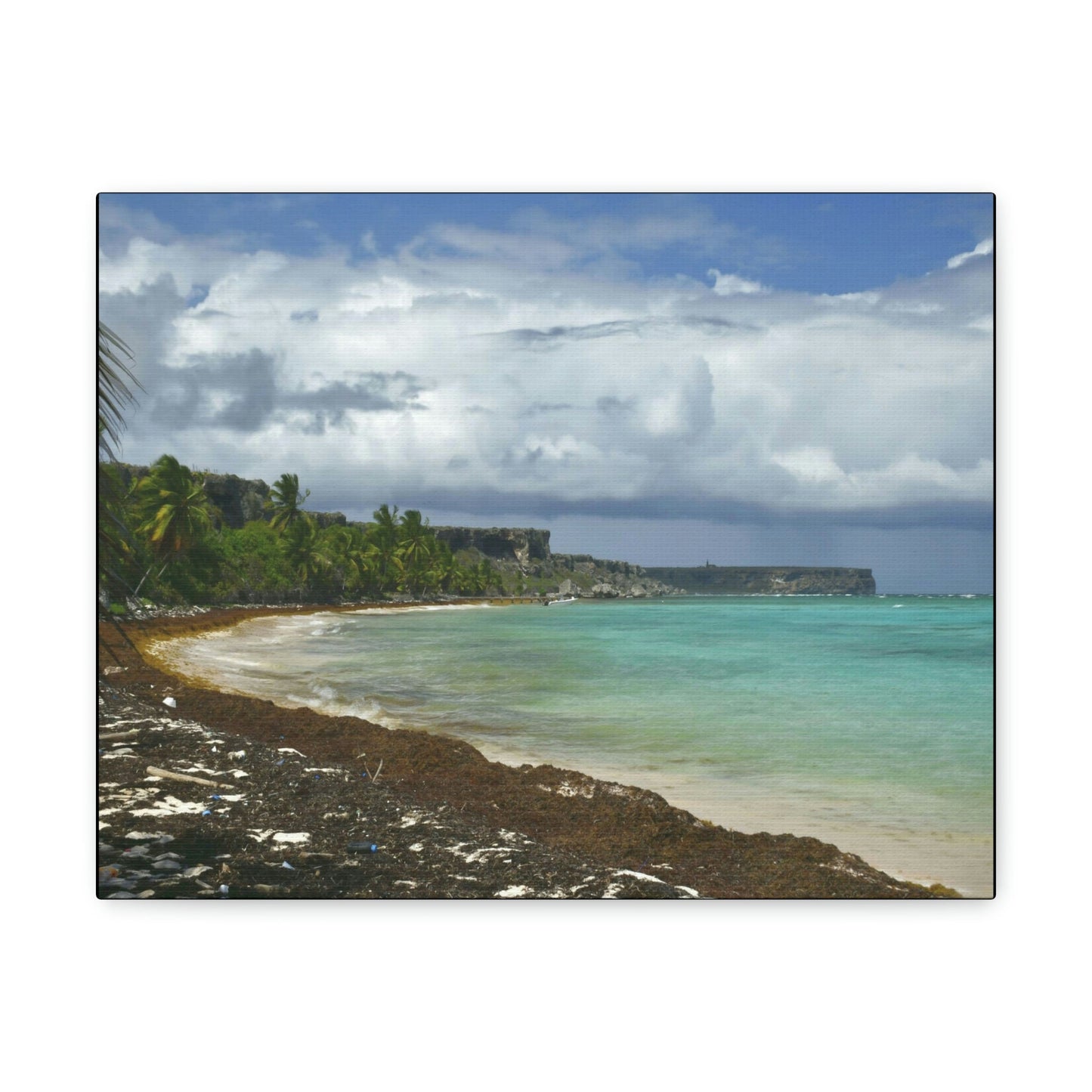 SMALL Canvas Gallery Wraps - Made in USA - Awesome and remote - Mona Island Pajaros beach PR - Green Forest Home