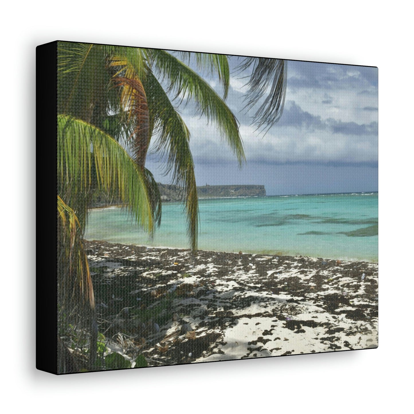 SMALL Canvas Gallery Wraps - Made in USA - Awesome and remote - Mona Island Pajaros beach PR - Green Forest Home