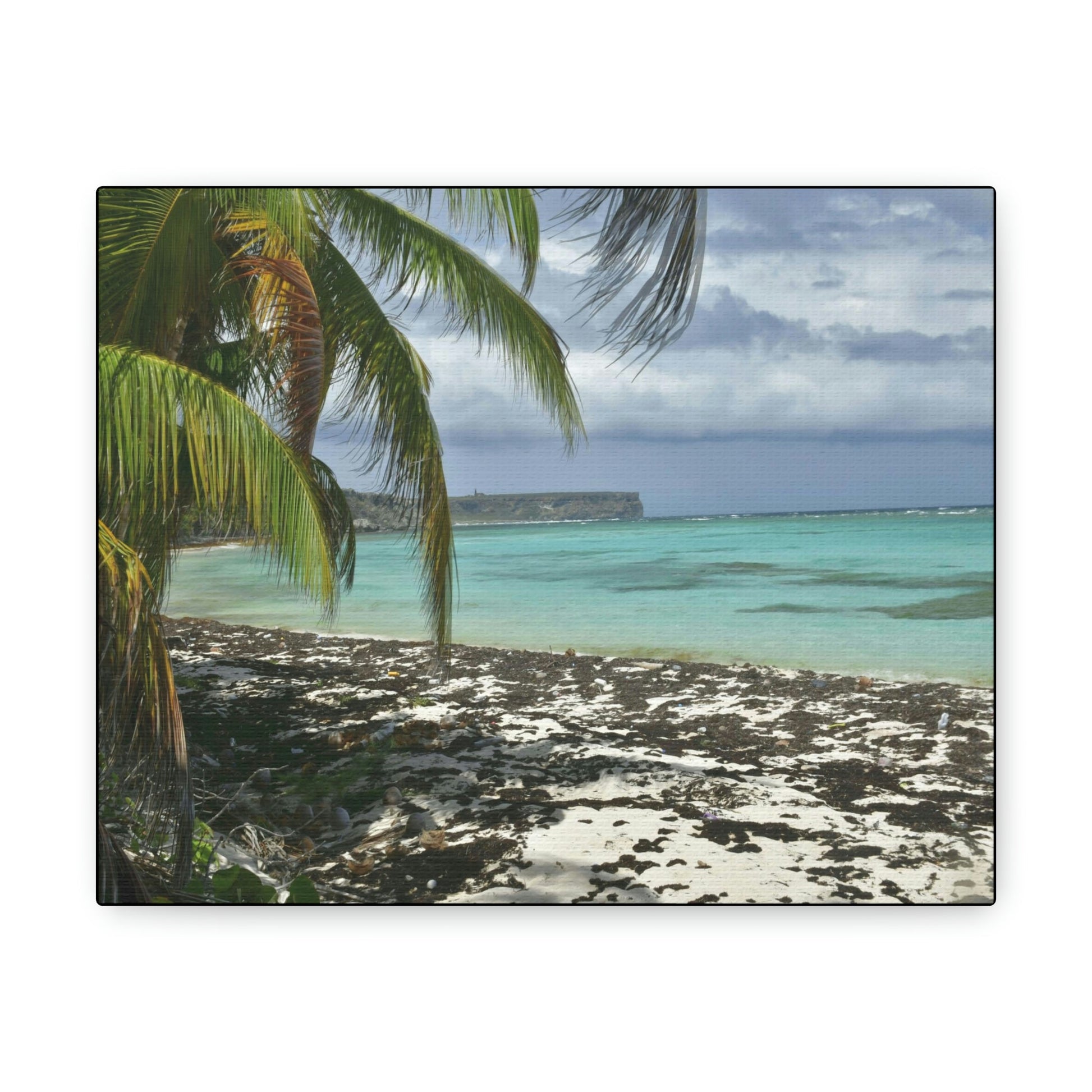 SMALL Canvas Gallery Wraps - Made in USA - Awesome and remote - Mona Island Pajaros beach PR - Green Forest Home