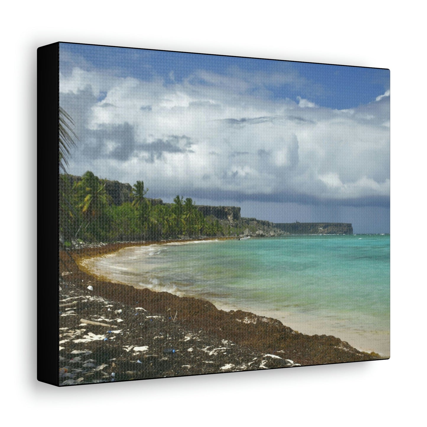 SMALL Canvas Gallery Wraps - Made in USA - Awesome and remote - Mona Island Pajaros beach PR - Green Forest Home