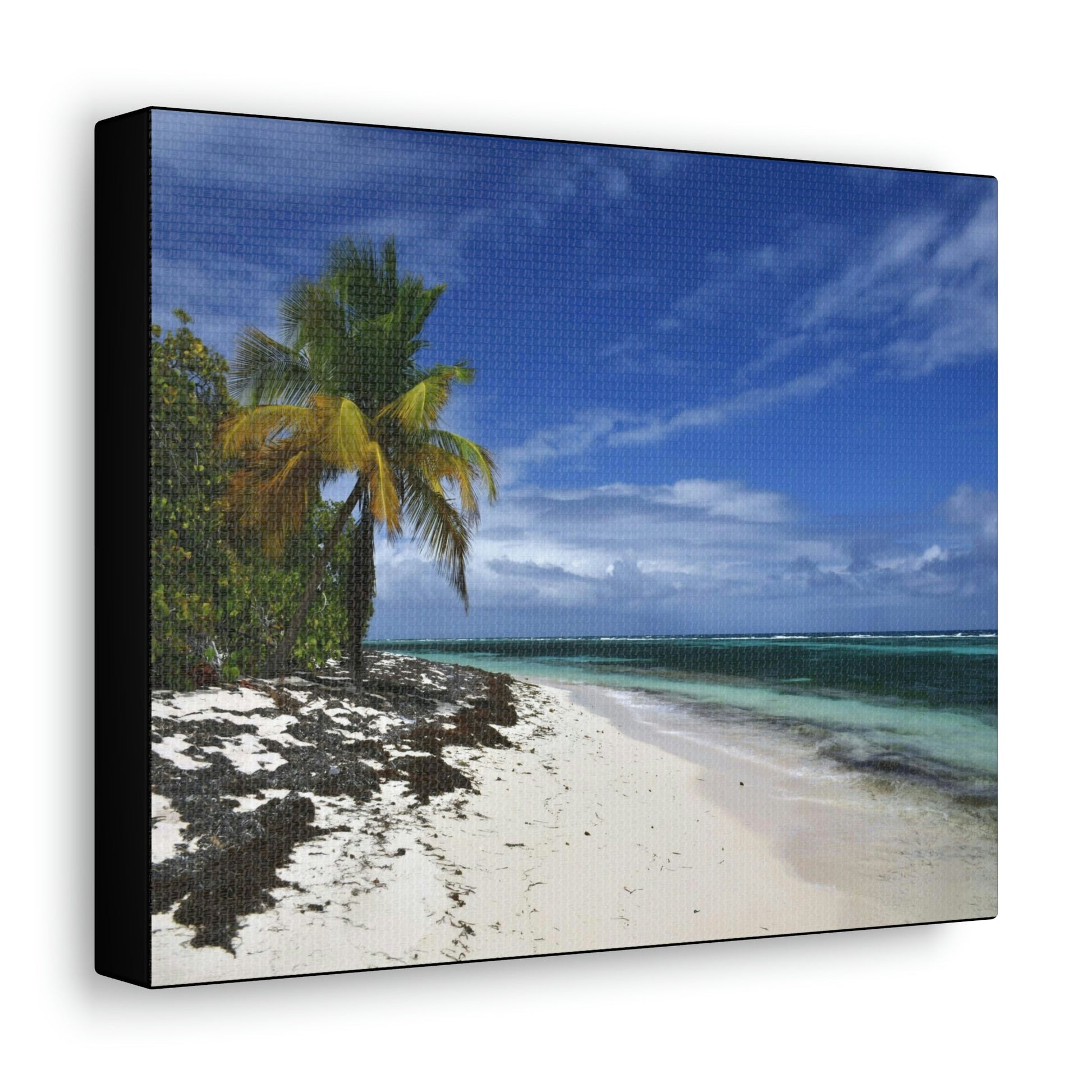 SMALL Canvas Gallery Wraps - Made in USA - Awesome and remote - Mona Island Pajaros beach PR - Green Forest Home