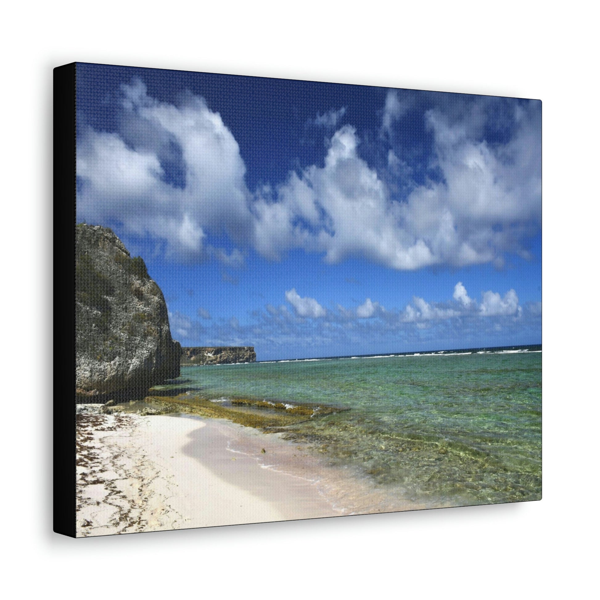 SMALL Canvas Gallery Wraps - Made in USA - Awesome and remote - Mona Island Pajaros beach PR - Green Forest Home