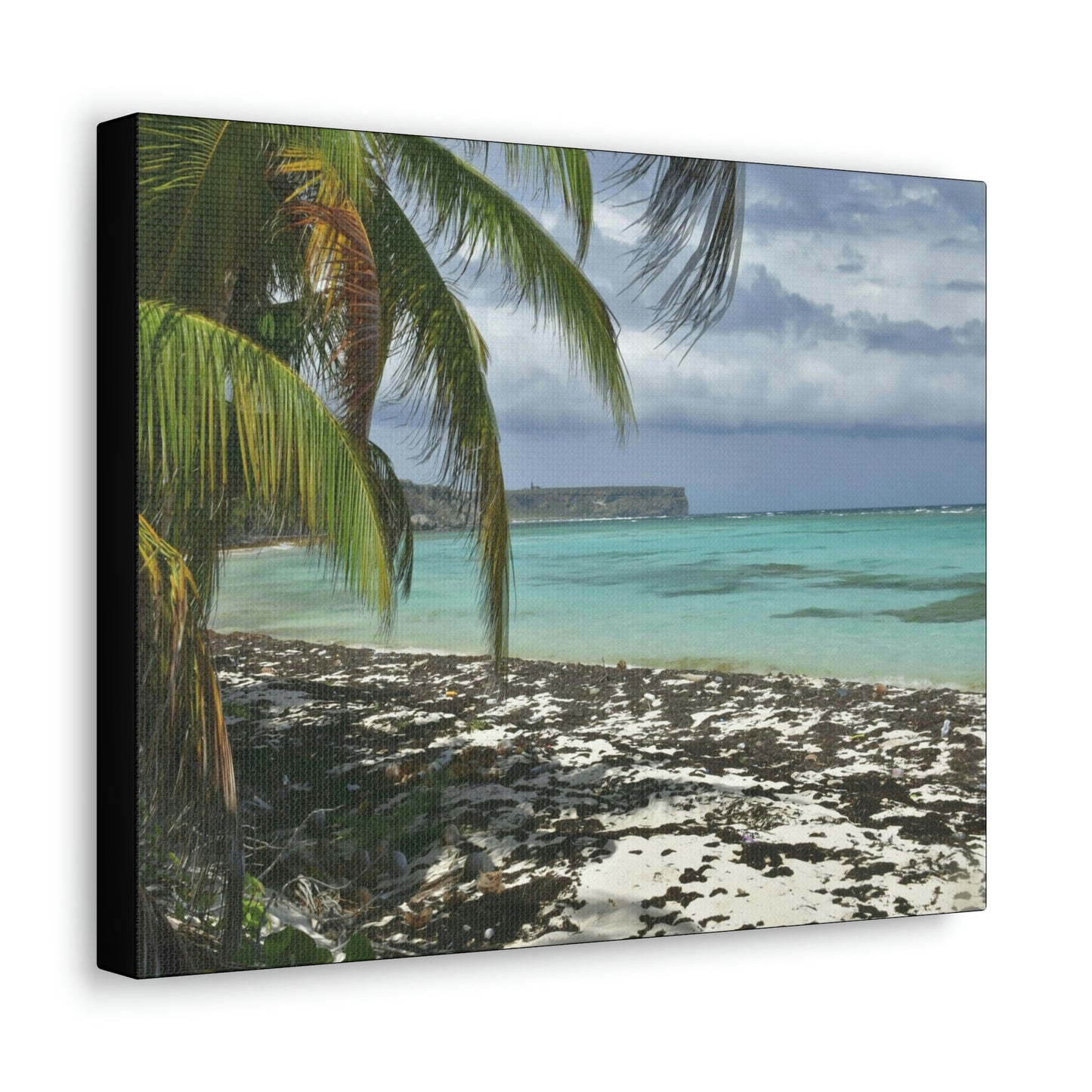 SMALL Canvas Gallery Wraps - Made in USA - Awesome and remote - Mona Island Pajaros beach PR - Green Forest Home