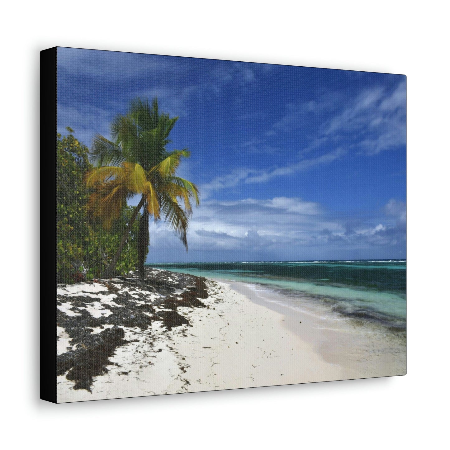 SMALL Canvas Gallery Wraps - Made in USA - Awesome and remote - Mona Island Pajaros beach PR - Green Forest Home