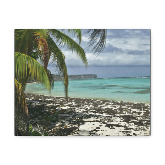 SMALL Canvas Gallery Wraps - Made in USA - Awesome and remote - Mona Island Pajaros beach PR - Green Forest Home