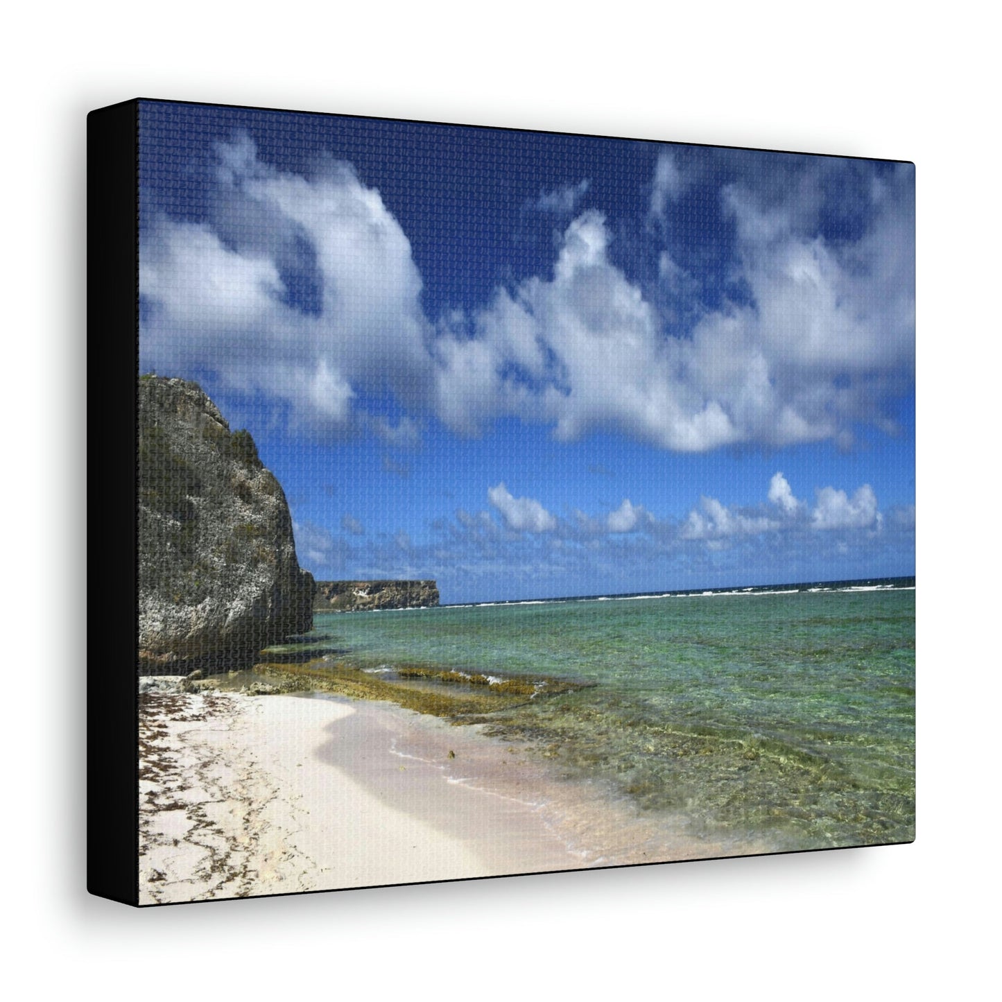 SMALL Canvas Gallery Wraps - Made in USA - Awesome and remote - Mona Island Pajaros beach PR - Green Forest Home