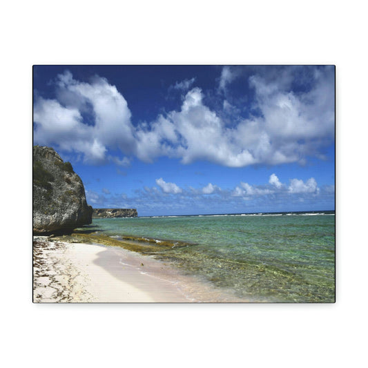 SMALL Canvas Gallery Wraps - Made in USA - Awesome and remote - Mona Island Pajaros beach PR - Green Forest Home