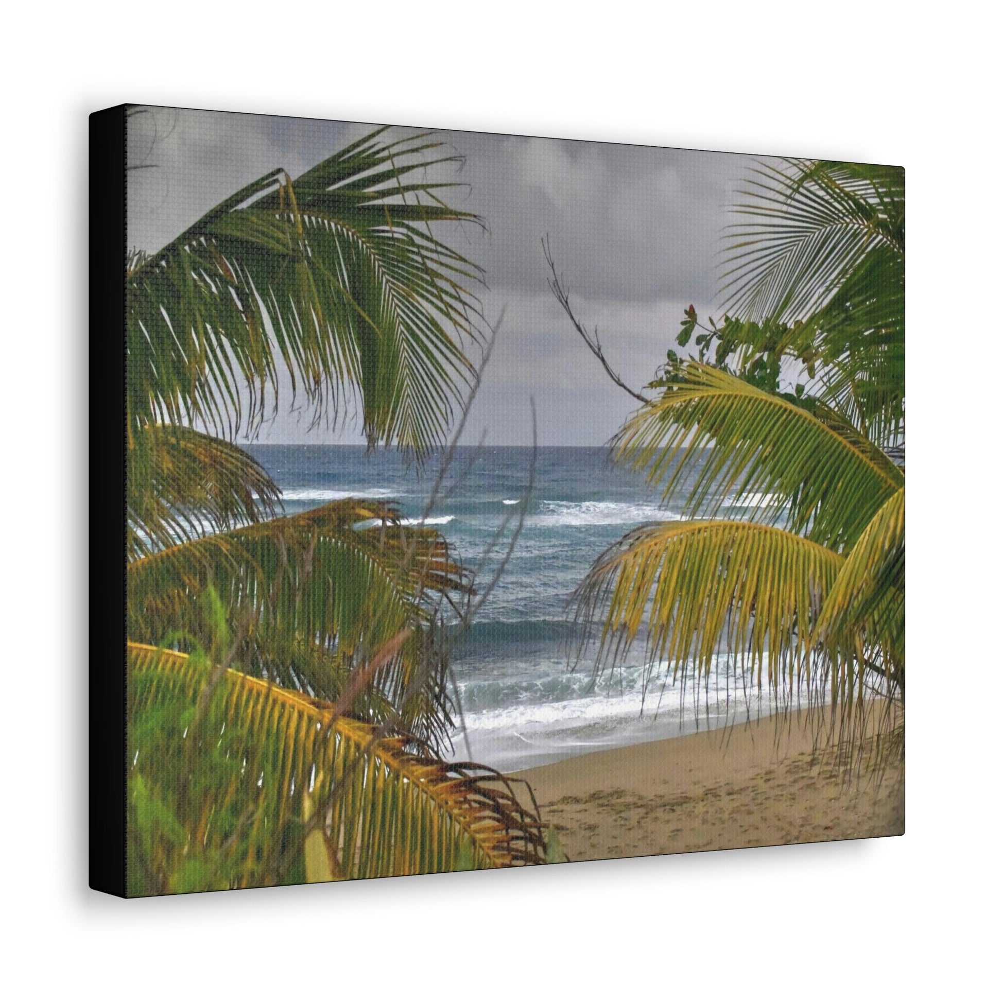 SMALL Canvas Gallery Wraps - Made in USA - Awesome view in Hau beach - Isabela PR - Green Forest Home