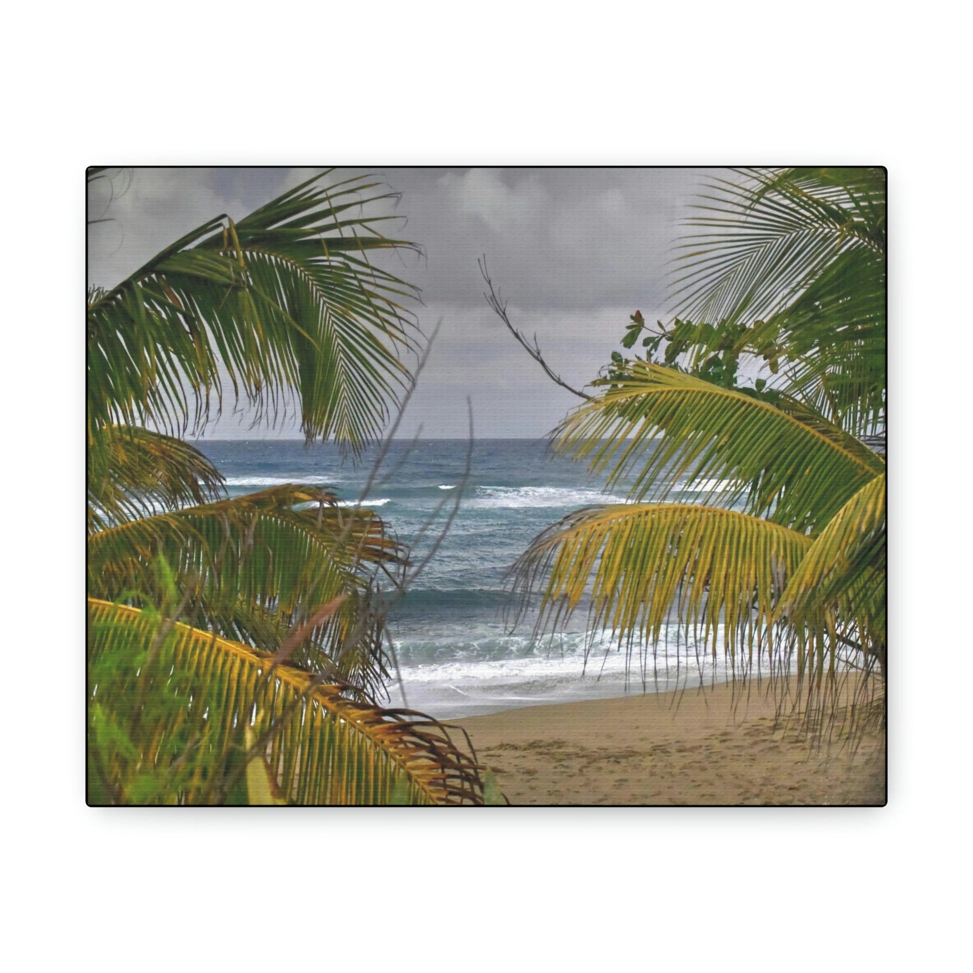 SMALL Canvas Gallery Wraps - Made in USA - Awesome view in Hau beach - Isabela PR - Green Forest Home