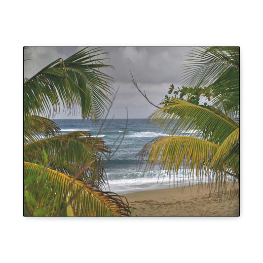 SMALL Canvas Gallery Wraps - Made in USA - Awesome view in Hau beach - Isabela PR - Green Forest Home