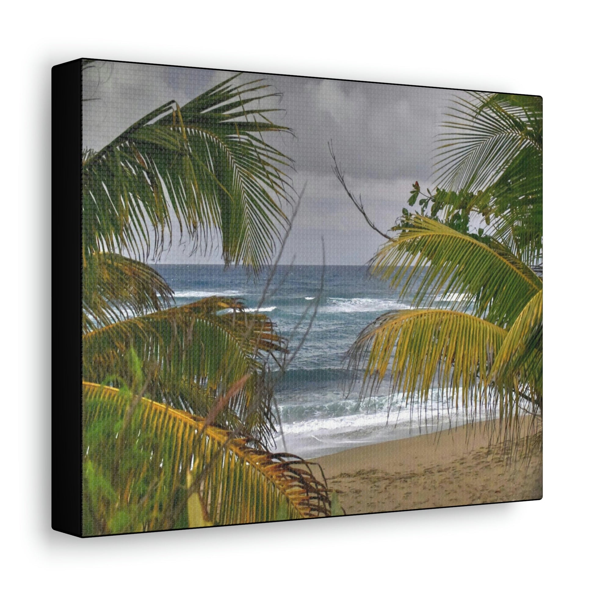 SMALL Canvas Gallery Wraps - Made in USA - Awesome view in Hau beach - Isabela PR - Green Forest Home