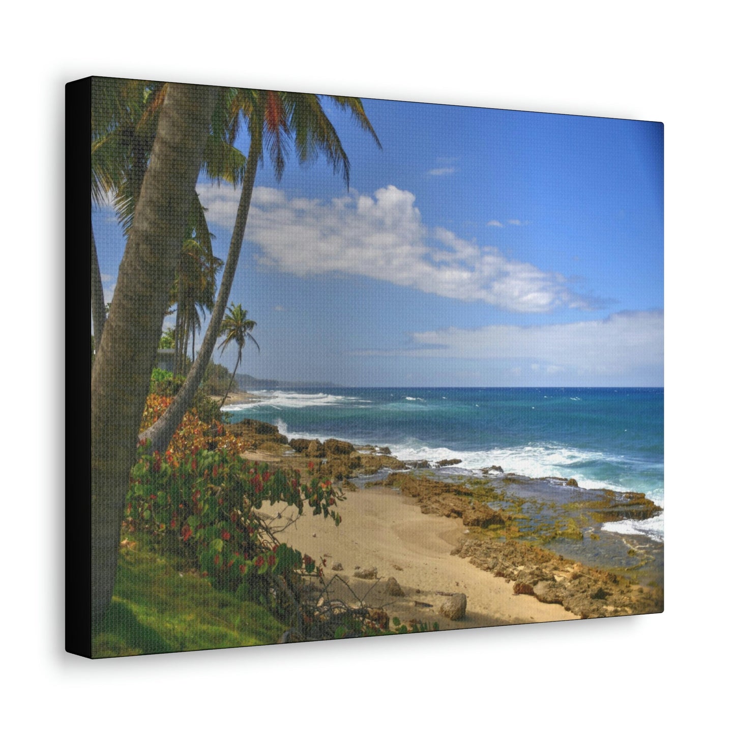 SMALL Canvas Gallery Wraps - Made in USA - Paradise like Tropical beach near Arecibo PR - Green Forest Home