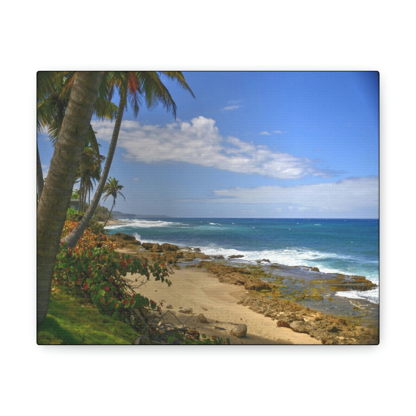 SMALL Canvas Gallery Wraps - Made in USA - Paradise like Tropical beach near Arecibo PR - Green Forest Home