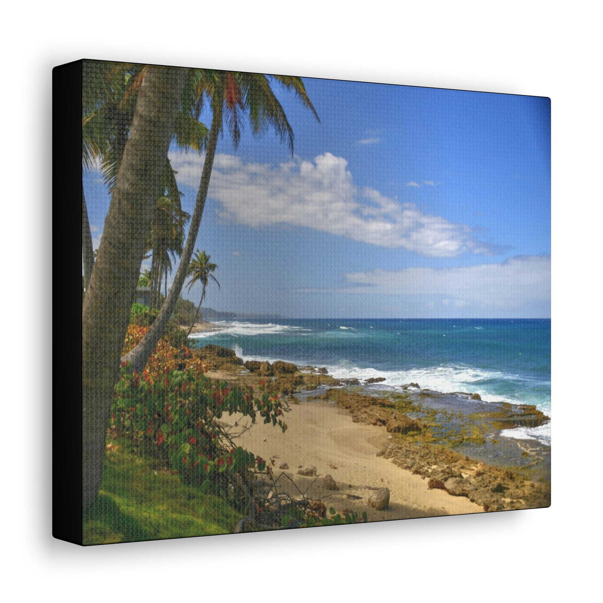 SMALL Canvas Gallery Wraps - Made in USA - Paradise like Tropical beach near Arecibo PR - Green Forest Home