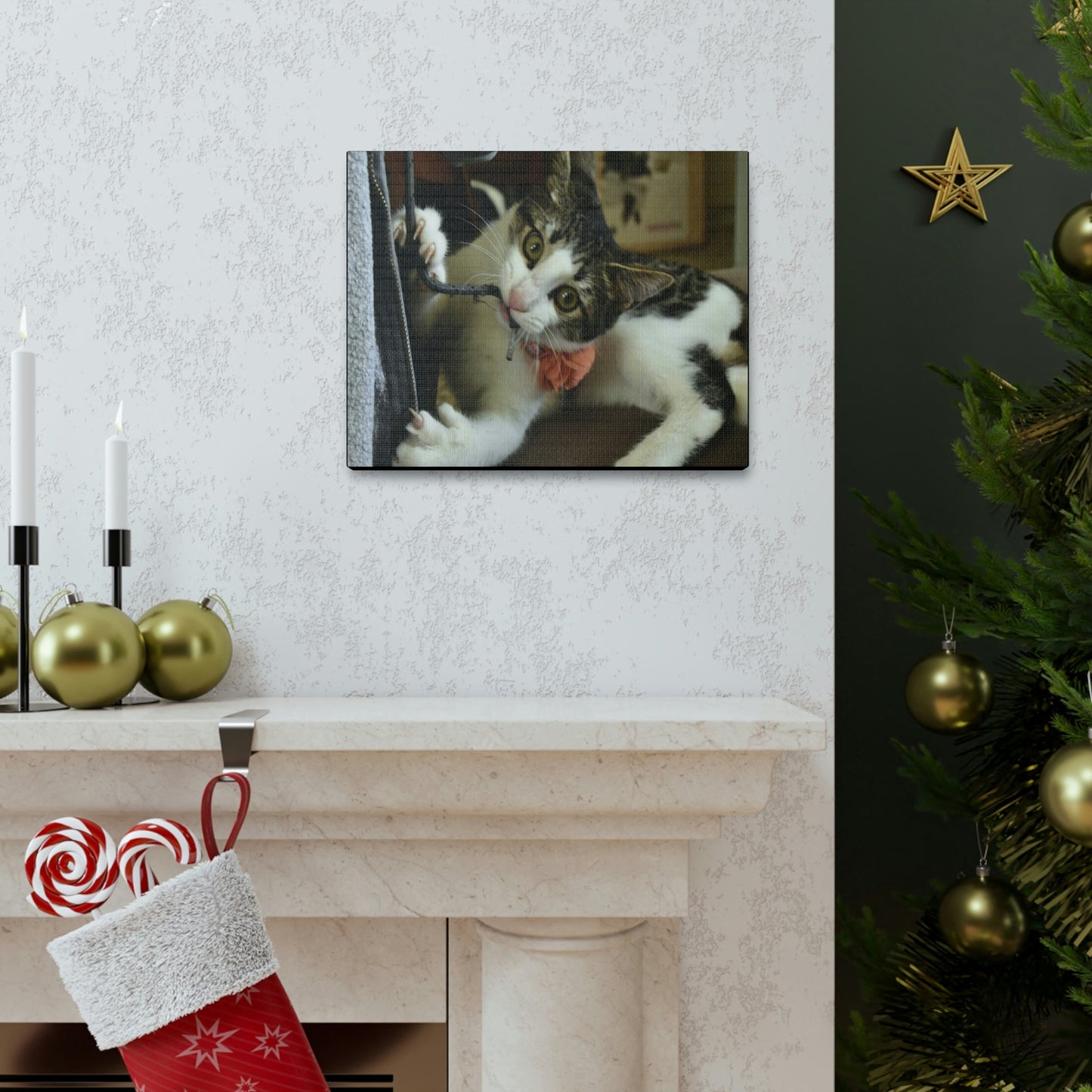 SMALL Canvas Gallery Wraps - Made in USA - The baby cat Dante at play - Green Forest Home