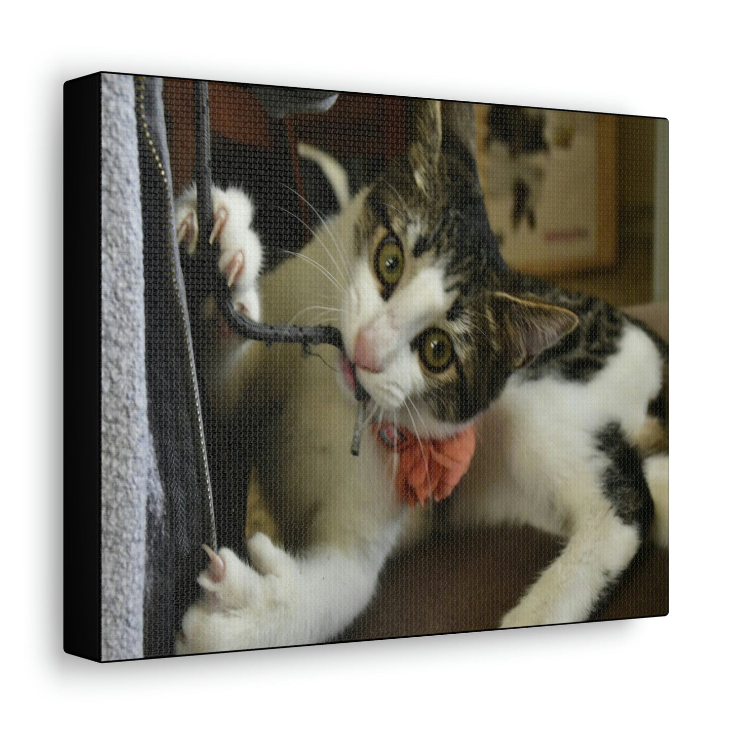 SMALL Canvas Gallery Wraps - Made in USA - The baby cat Dante at play - Green Forest Home