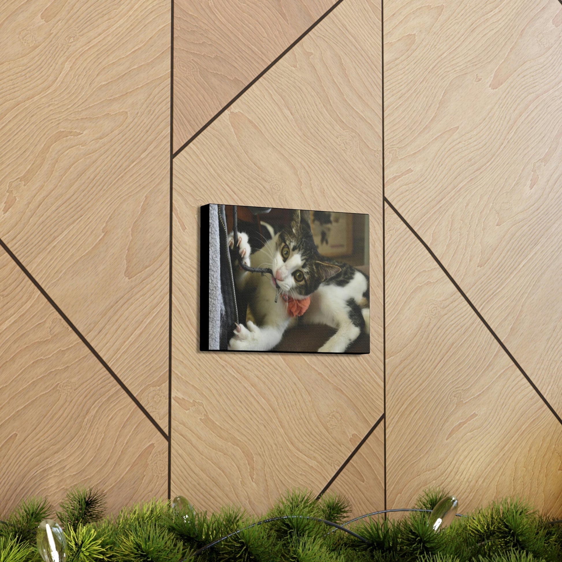 SMALL Canvas Gallery Wraps - Made in USA - The baby cat Dante at play - Green Forest Home