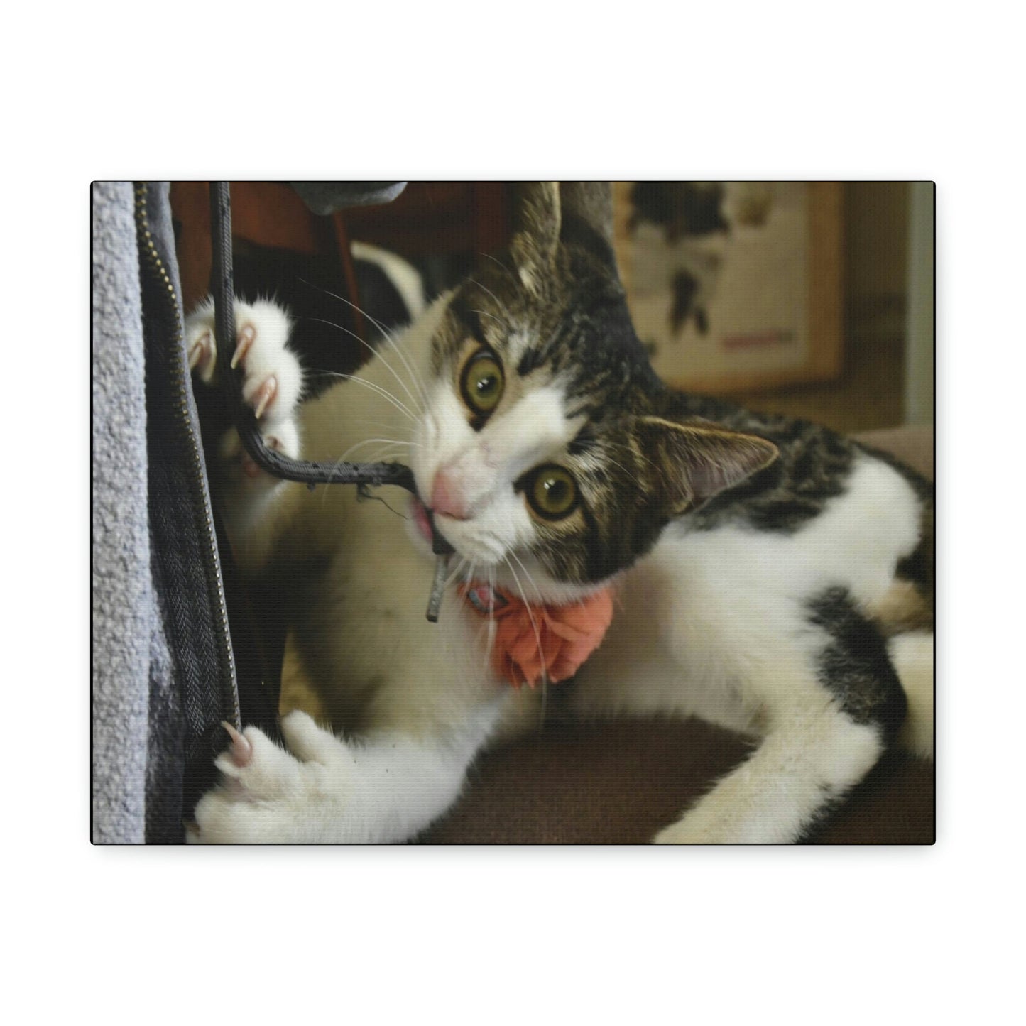 SMALL Canvas Gallery Wraps - Made in USA - The baby cat Dante at play - Green Forest Home