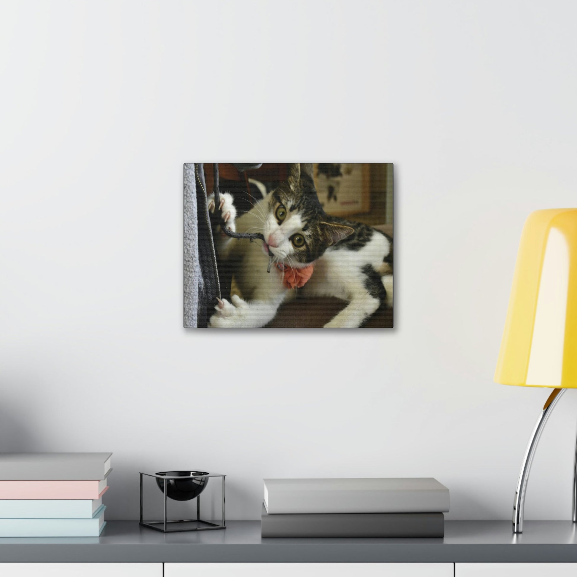 SMALL Canvas Gallery Wraps - Made in USA - The baby cat Dante at play - Green Forest Home