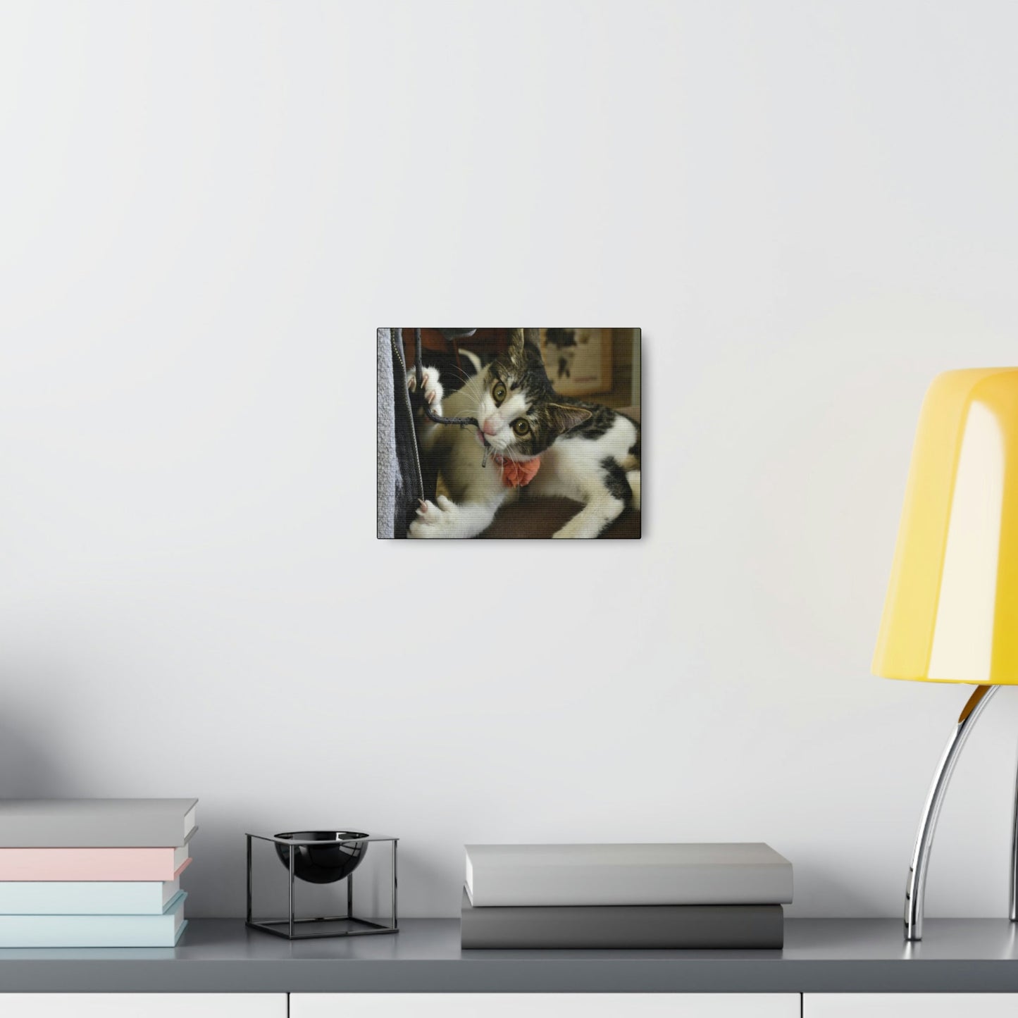 SMALL Canvas Gallery Wraps - Made in USA - The baby cat Dante at play - Green Forest Home