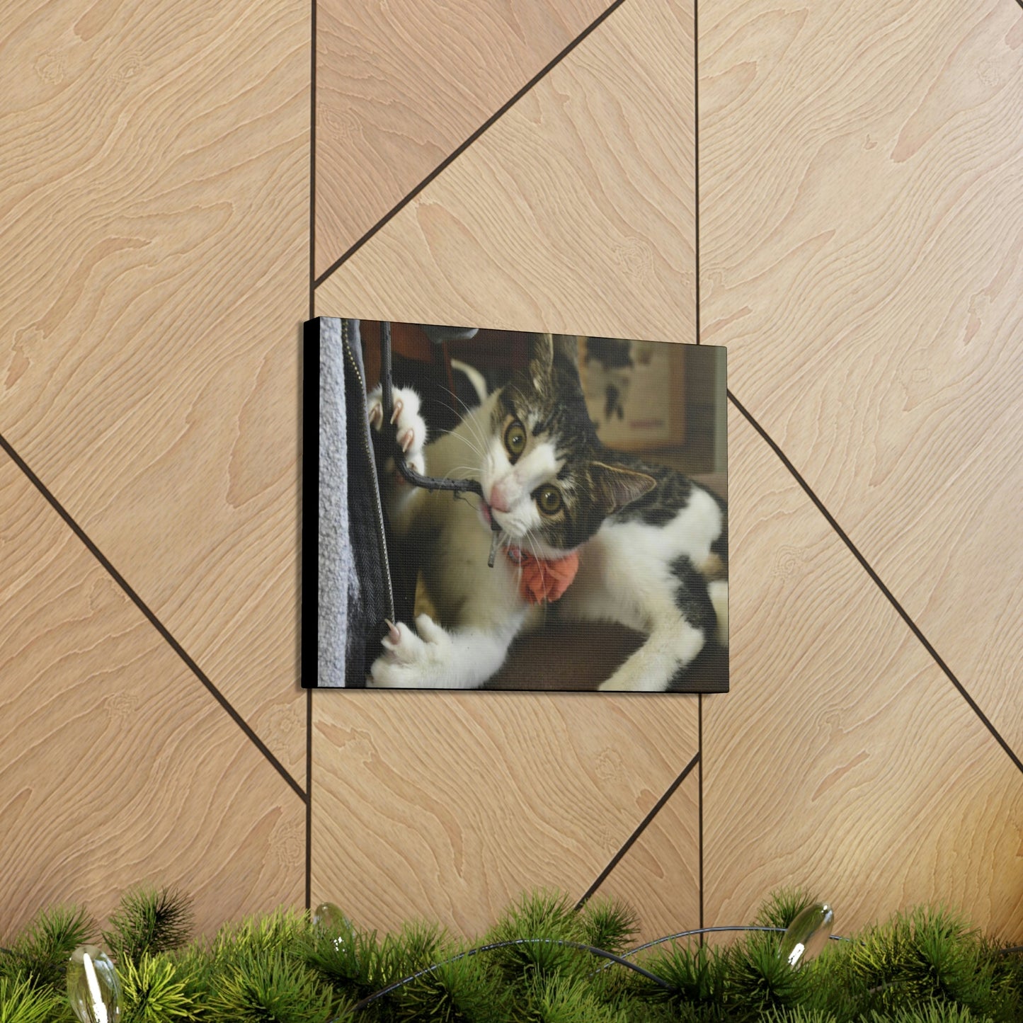 SMALL Canvas Gallery Wraps - Made in USA - The baby cat Dante at play - Green Forest Home