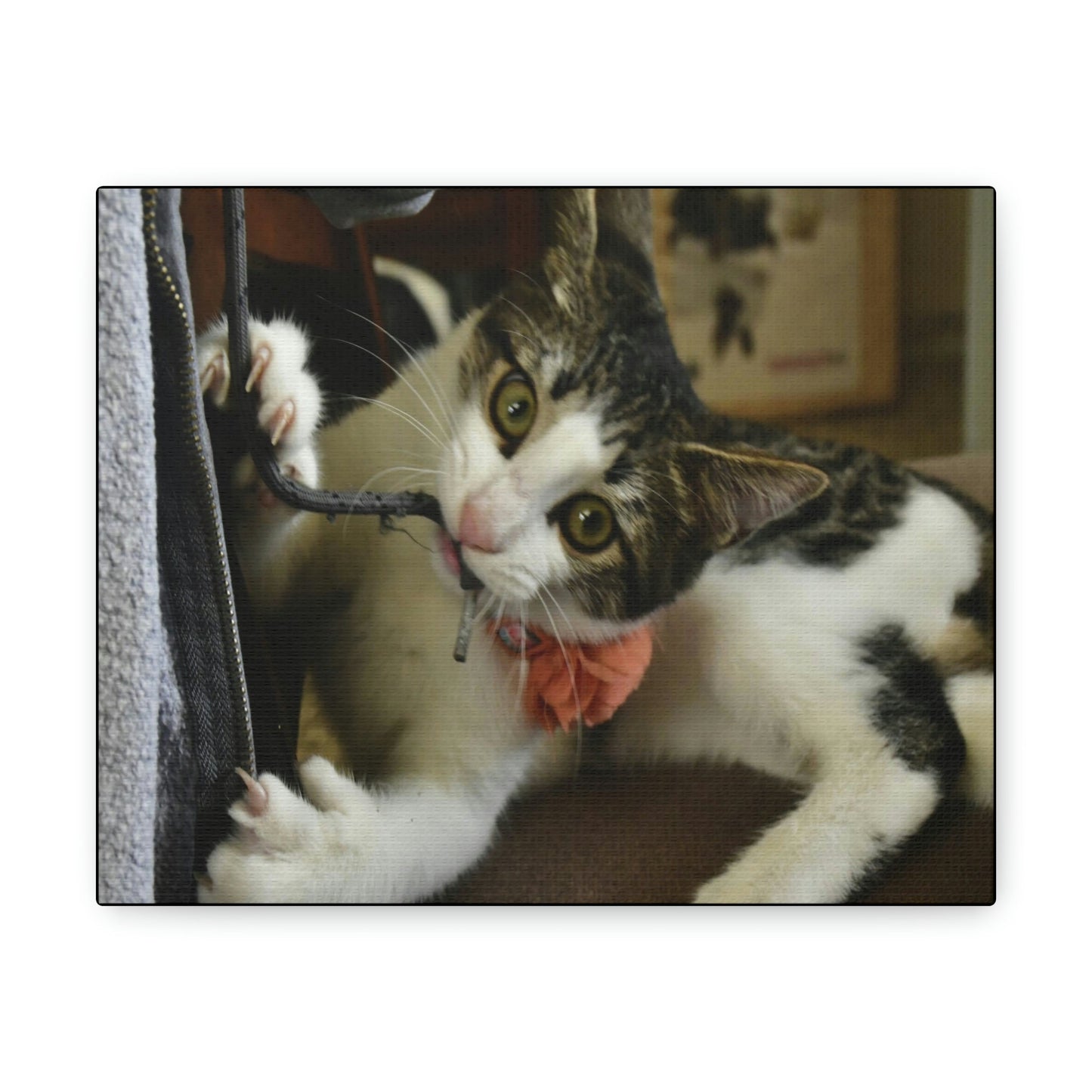 SMALL Canvas Gallery Wraps - Made in USA - The baby cat Dante at play - Green Forest Home