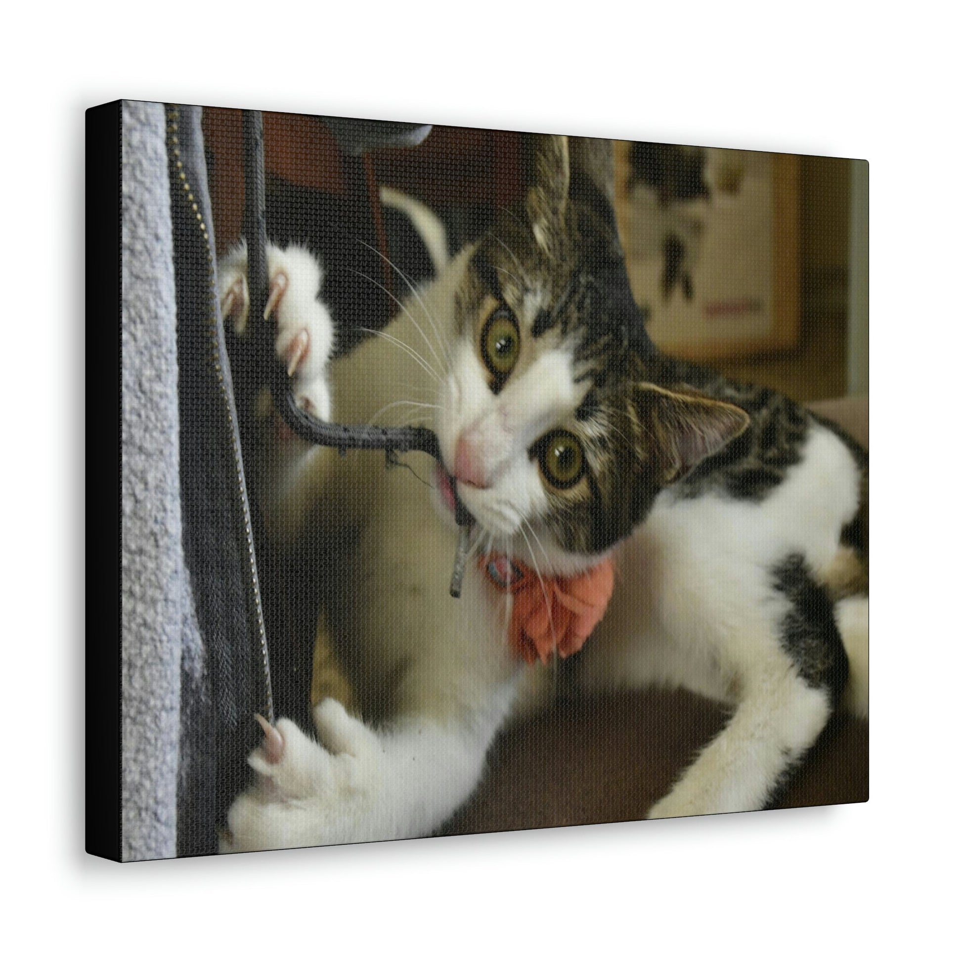 SMALL Canvas Gallery Wraps - Made in USA - The baby cat Dante at play - Green Forest Home