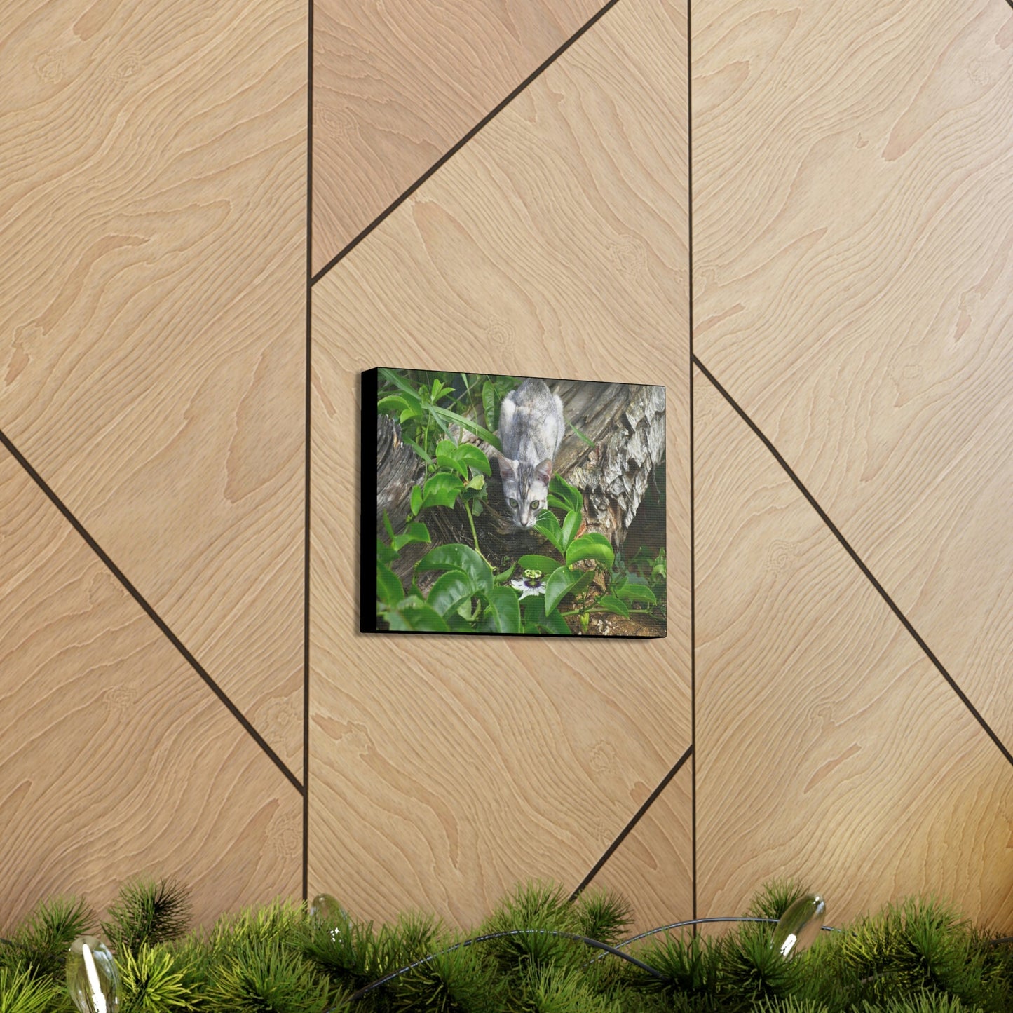 SMALL Canvas Gallery Wraps - Made in USA - The Baby Cat Mimi watches in front of a passionflower - Green Forest Home