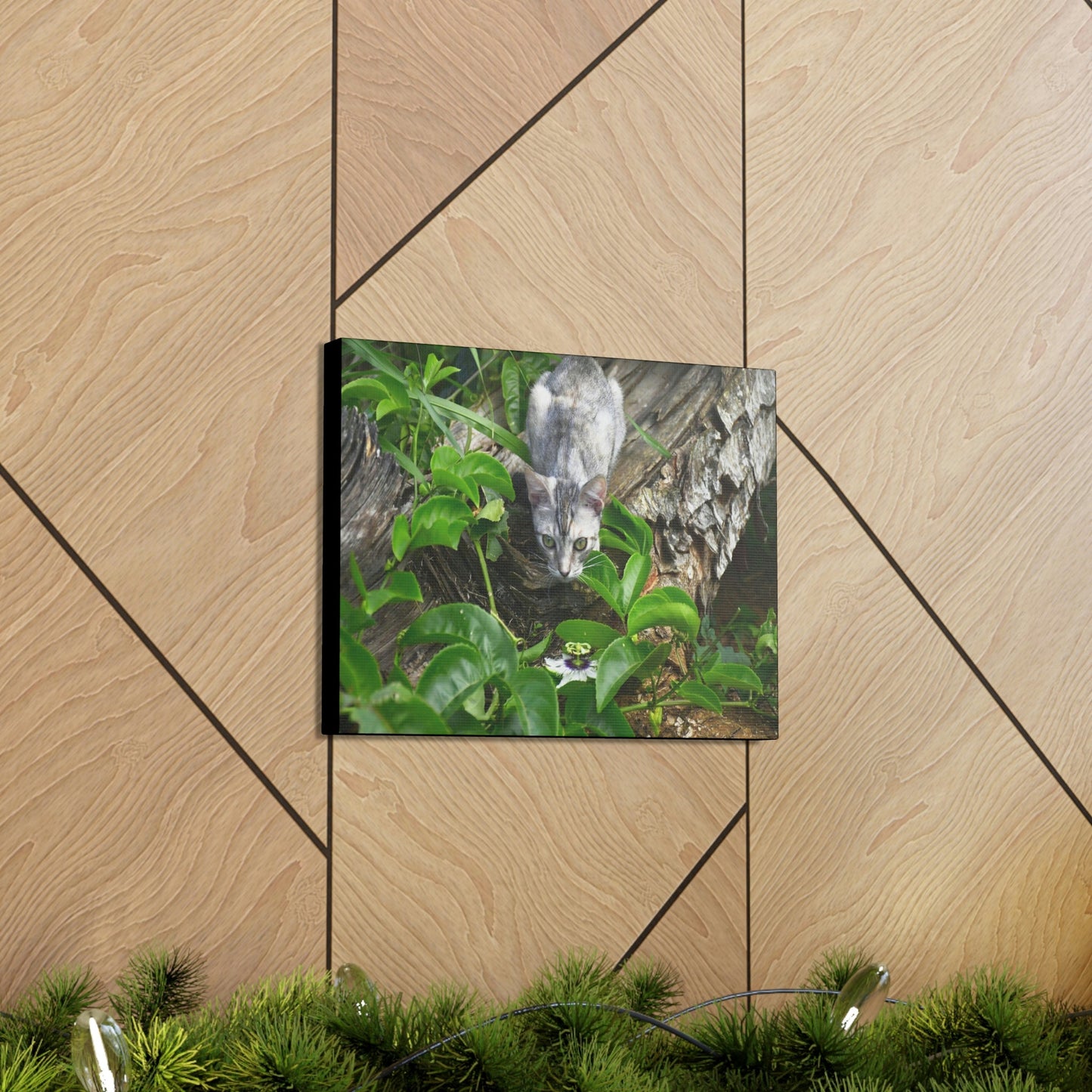 SMALL Canvas Gallery Wraps - Made in USA - The Baby Cat Mimi watches in front of a passionflower - Green Forest Home