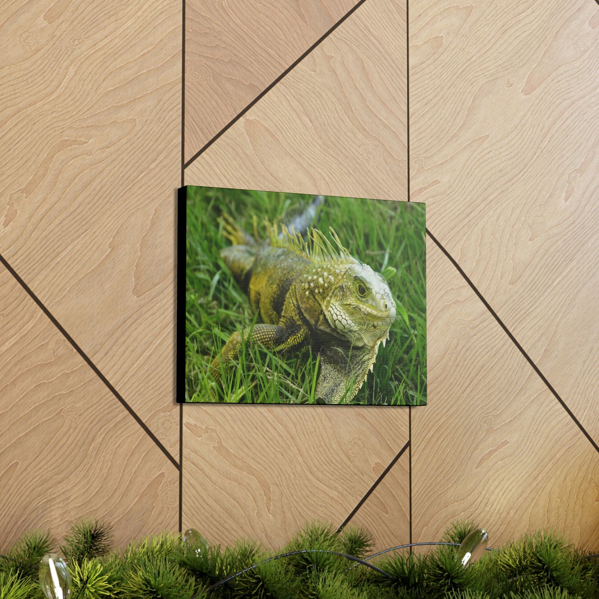 SMALL Canvas Gallery Wraps - Made in USA - The IGUANA is wary and ready to attack... - Green Forest Home