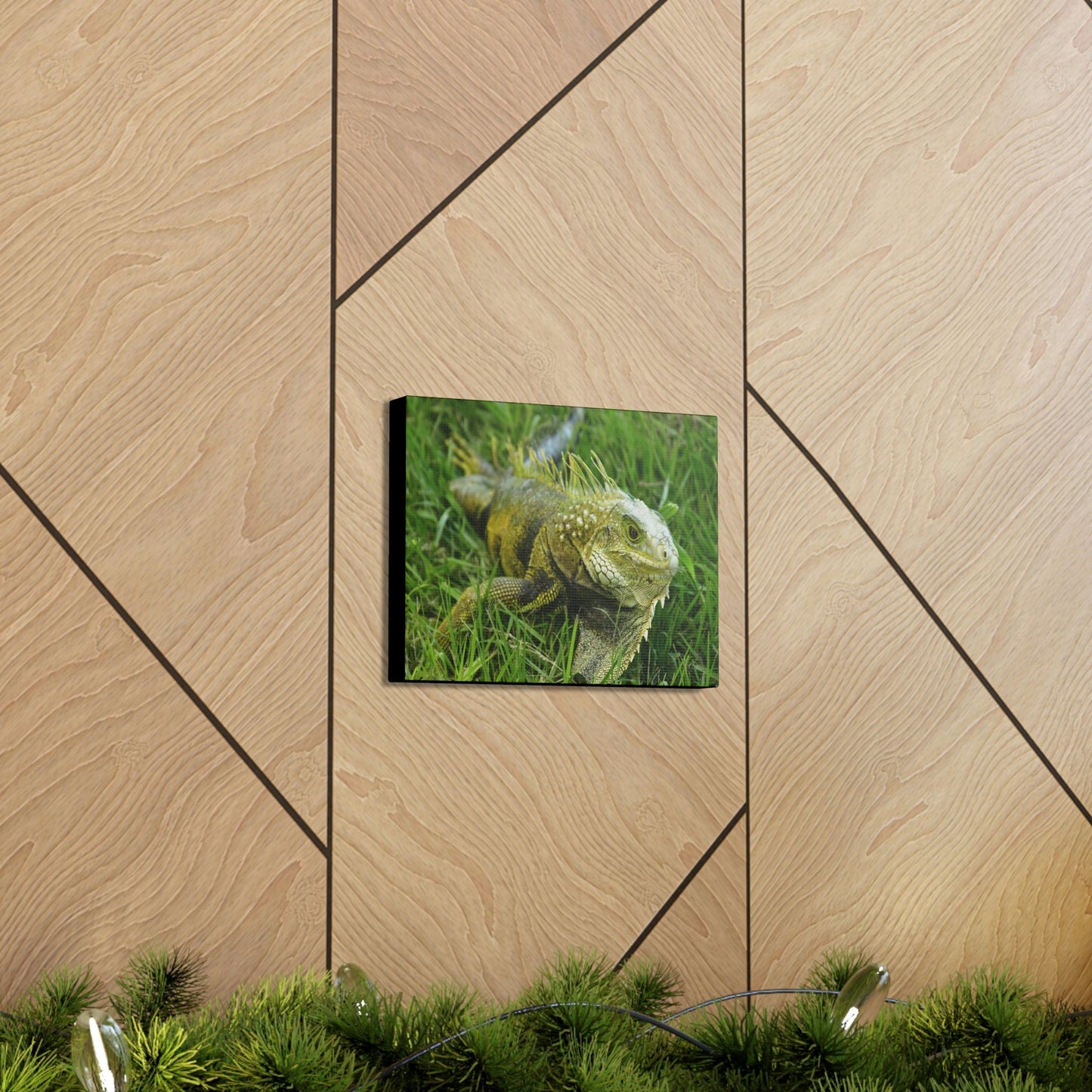 SMALL Canvas Gallery Wraps - Made in USA - The IGUANA is wary and ready to attack... - Green Forest Home