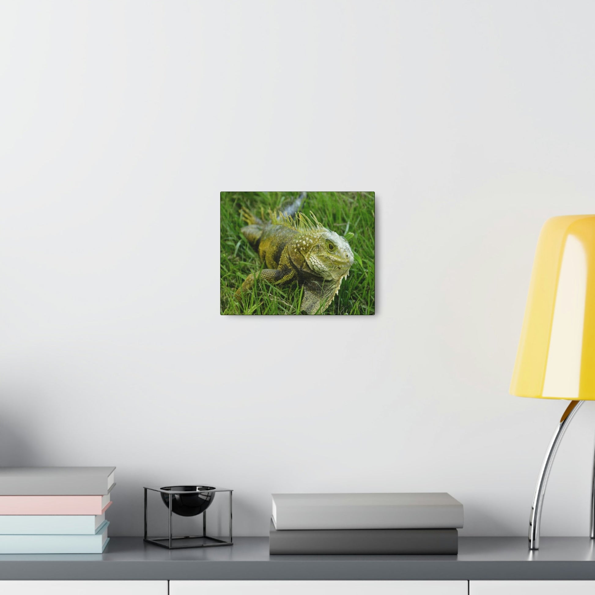 SMALL Canvas Gallery Wraps - Made in USA - The IGUANA is wary and ready to attack... - Green Forest Home