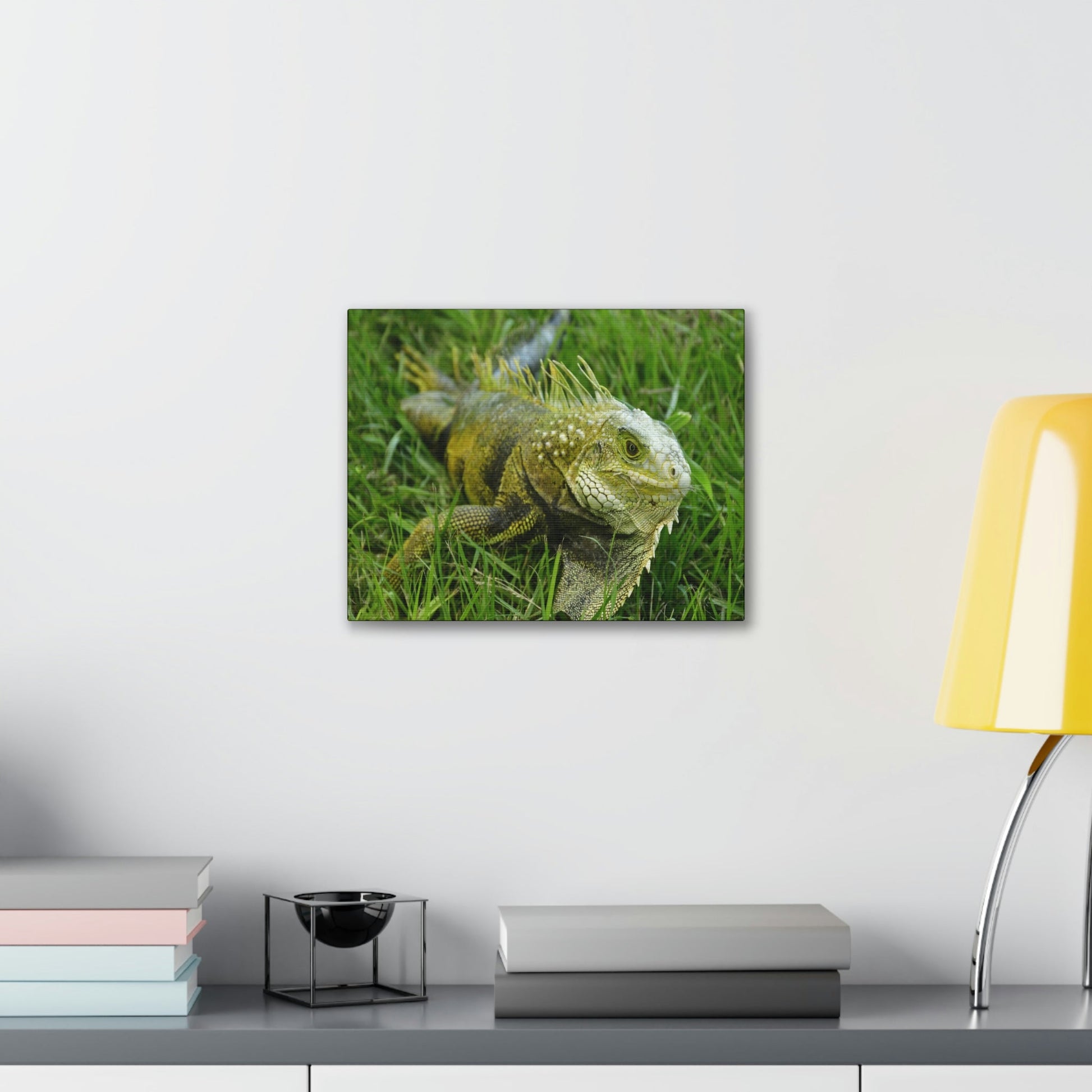 SMALL Canvas Gallery Wraps - Made in USA - The IGUANA is wary and ready to attack... - Green Forest Home