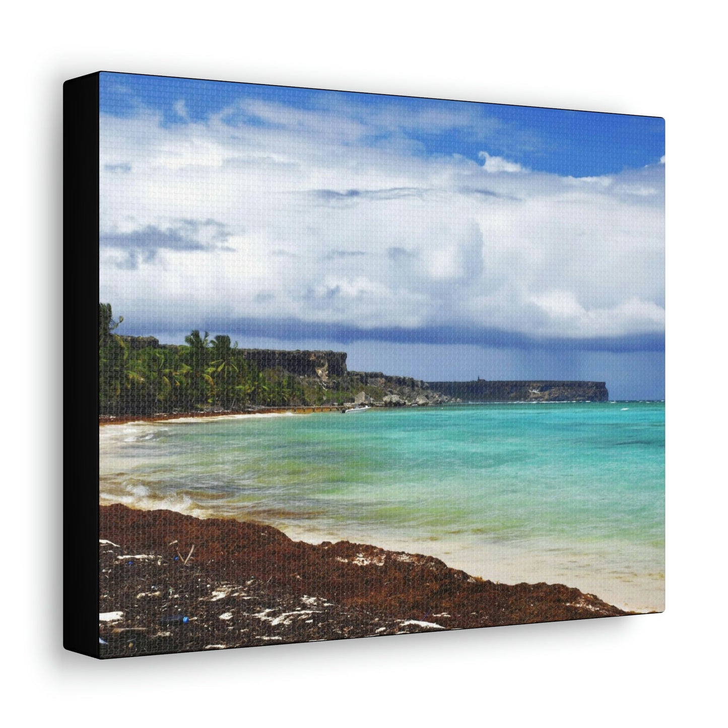 SMALL Canvas Gallery Wraps - US MADE - Pristine & remote Mona island Puerto Rico - hidden paradise - Playa Pajaros - Green Forest Home