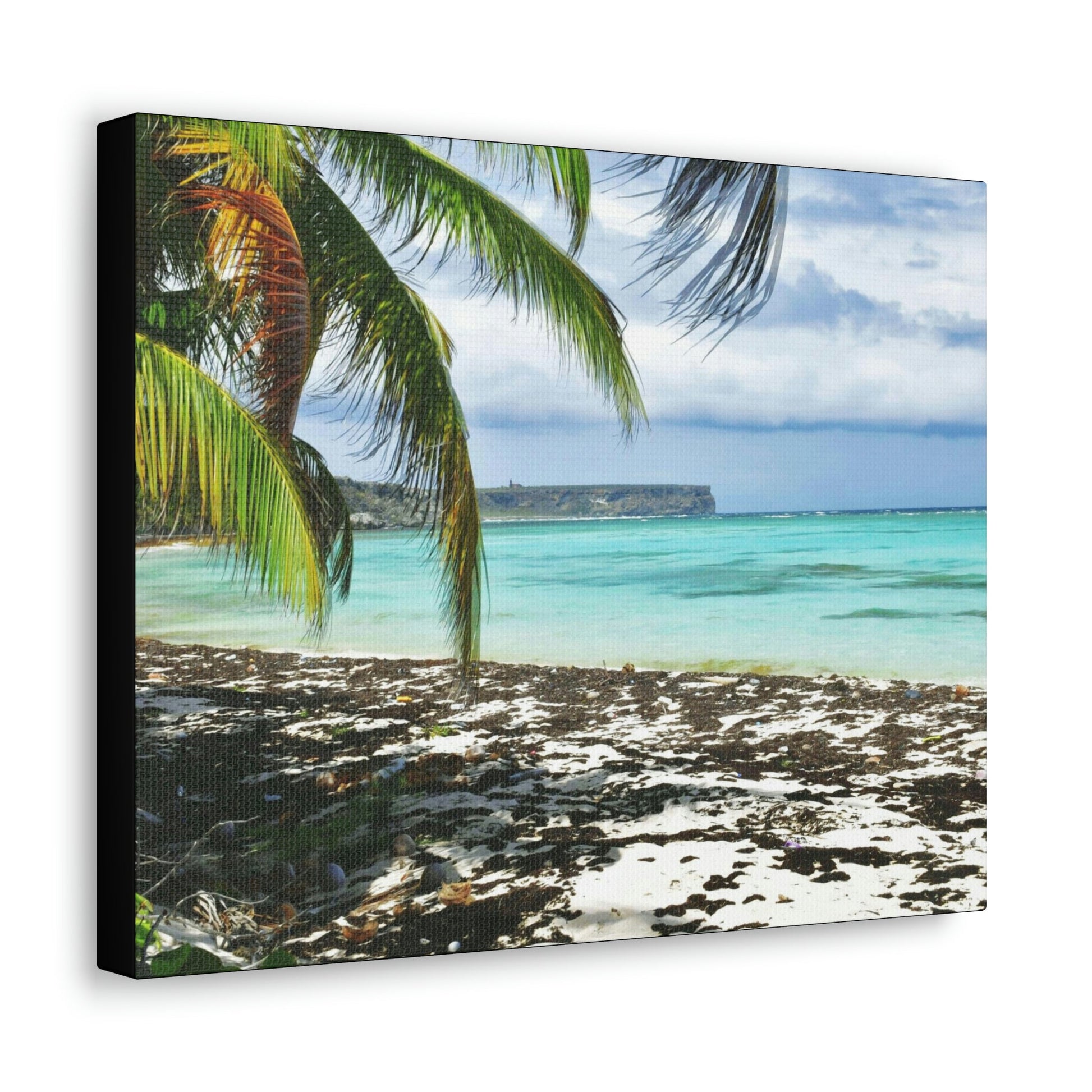 SMALL Canvas Gallery Wraps - US MADE - Pristine & remote Mona island Puerto Rico - hidden paradise - Playa Pajaros - Green Forest Home