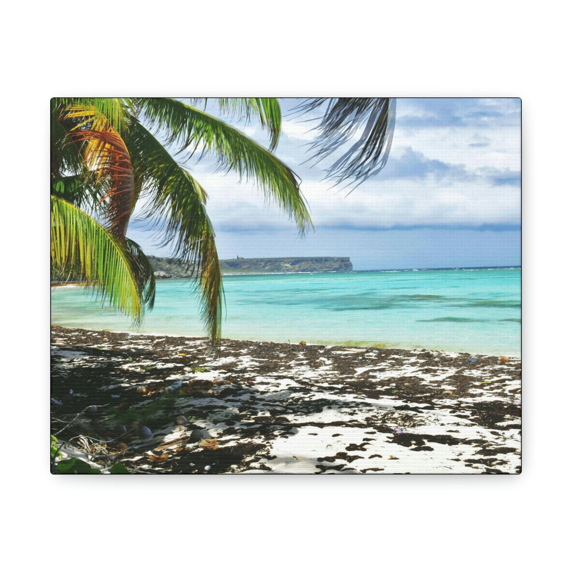 SMALL Canvas Gallery Wraps - US MADE - Pristine & remote Mona island Puerto Rico - hidden paradise - Playa Pajaros - Green Forest Home