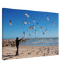 Thin Canvas - A teenager feeds flying seagulls. Texas Coast, Gulf of Mexico, USA - Green Forest Home