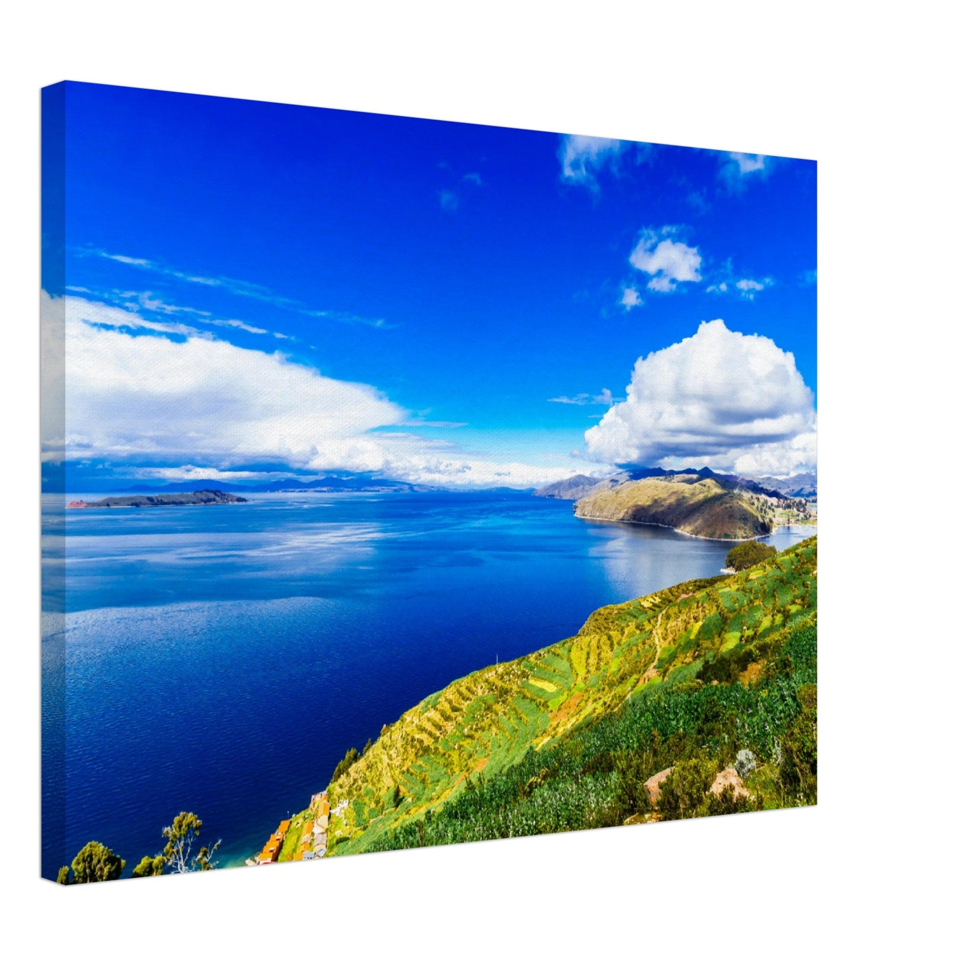 Thin Canvas - Beautiful landscape on Isla del Sol by Lake Titicaca - BOLIVIA - SOUTH AMERICA - Green Forest Home