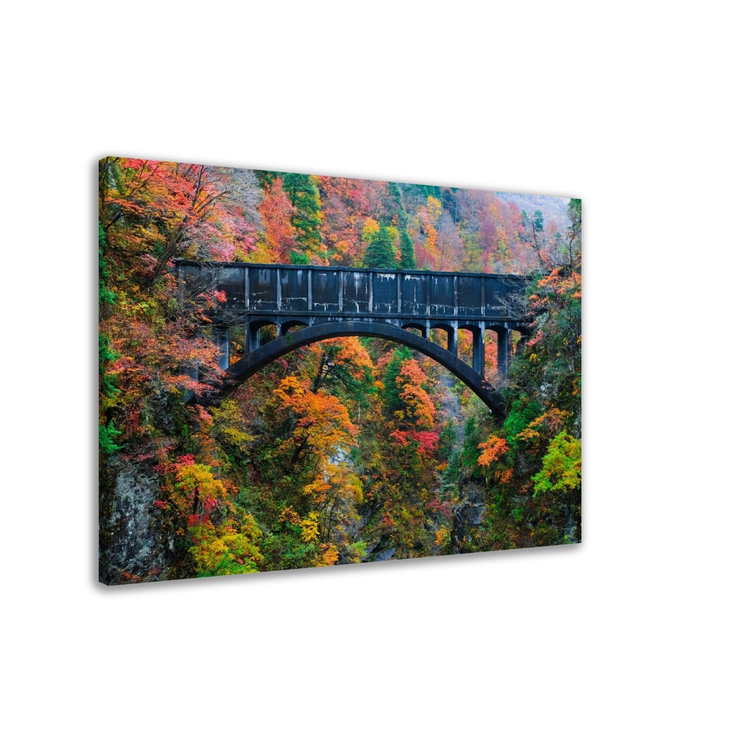 Thin Canvas - Beautiful view of old bridges and mountain river to travel in the train to Kurobe gorge during the Autumn Season, Toyama, Japan - Green Forest Home