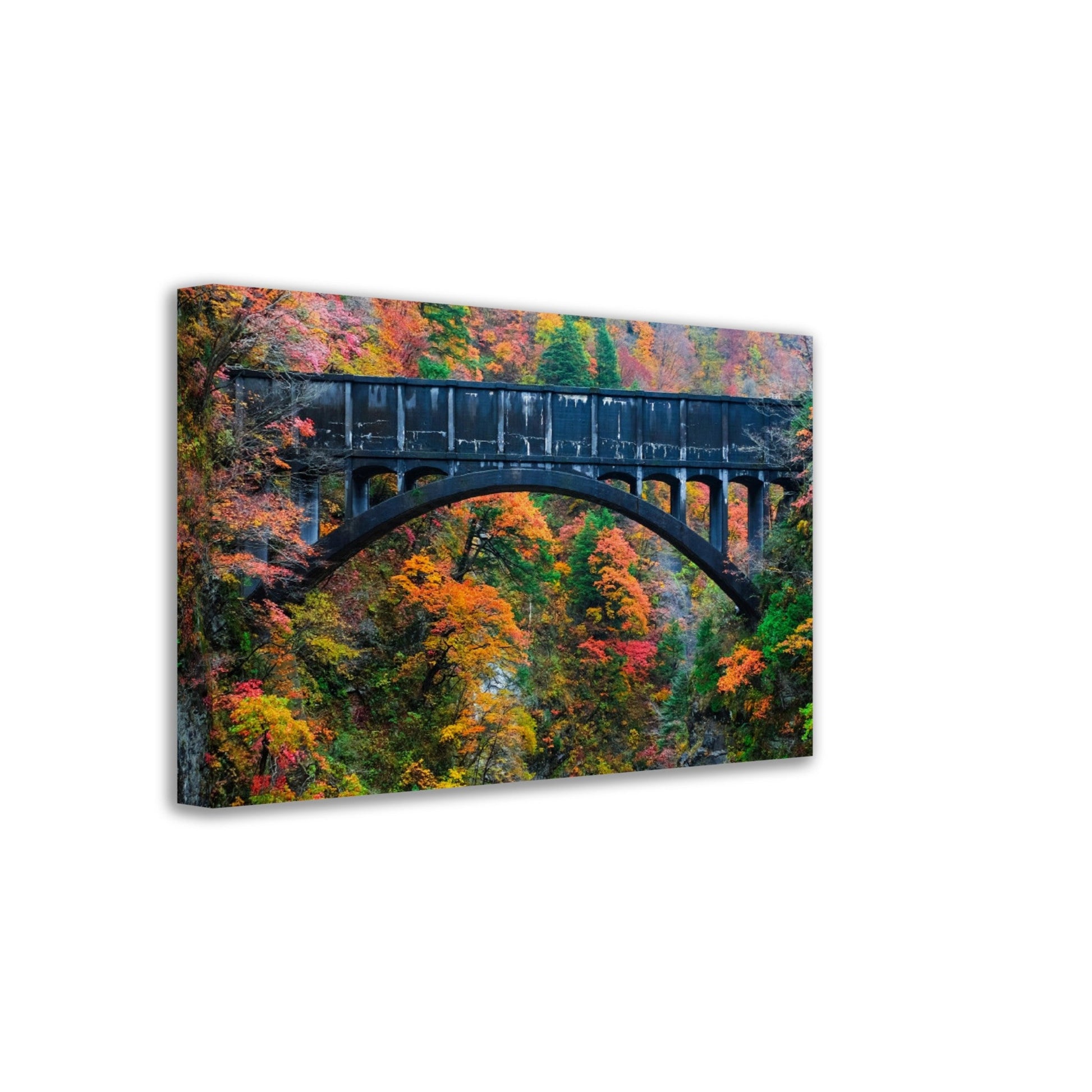 Thin Canvas - Beautiful view of old bridges and mountain river to travel in the train to Kurobe gorge during the Autumn Season, Toyama, Japan - Green Forest Home