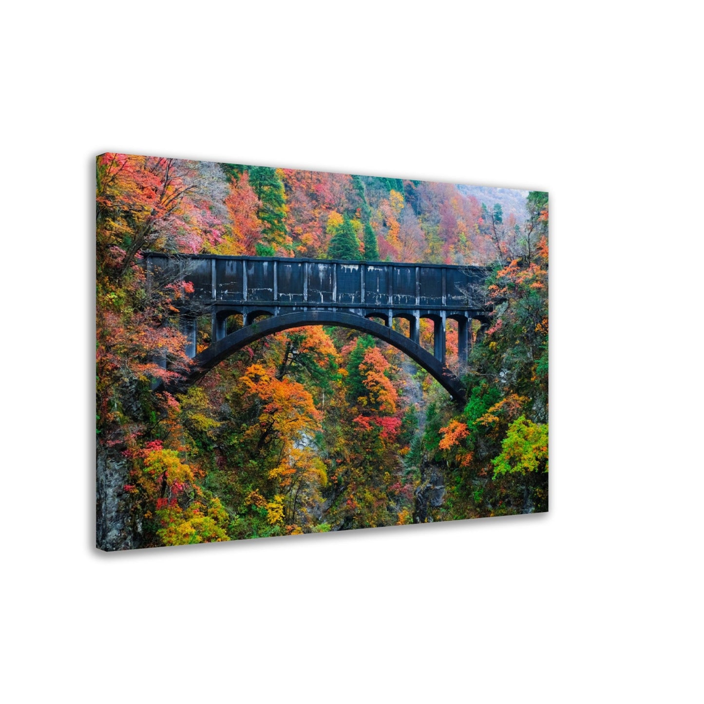 Thin Canvas - Beautiful view of old bridges and mountain river to travel in the train to Kurobe gorge during the Autumn Season, Toyama, Japan - Green Forest Home