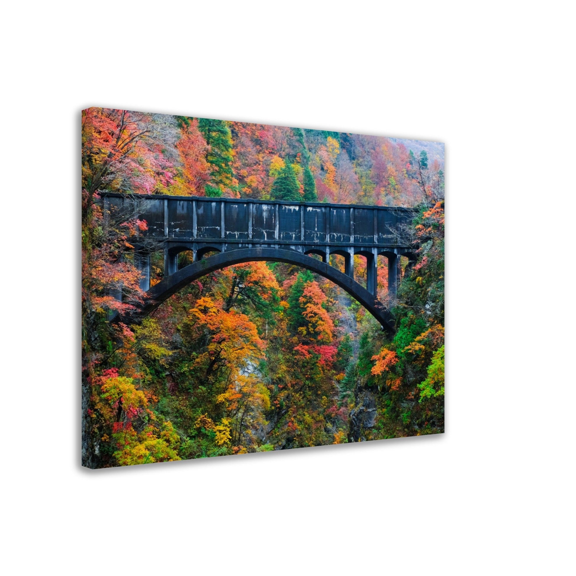 Thin Canvas - Beautiful view of old bridges and mountain river to travel in the train to Kurobe gorge during the Autumn Season, Toyama, Japan - Green Forest Home