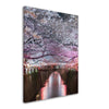 Thin Canvas Cherry blossom lined Meguro Canal at night in Tokyo, Japan. Springtime in April in Tokyo, Japan - JAPAN - Green Forest Home