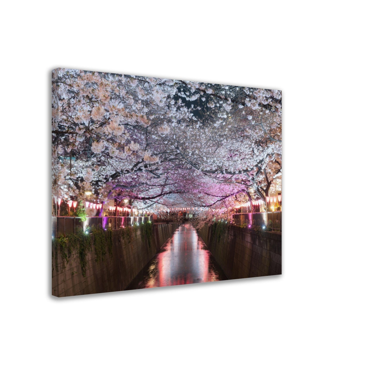 Thin Canvas Cherry blossom lined Meguro Canal at night in Tokyo, Japan. Springtime in April in Tokyo, Japan - JAPAN - Green Forest Home