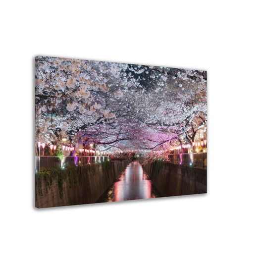 Thin Canvas Cherry blossom lined Meguro Canal at night in Tokyo, Japan. Springtime in April in Tokyo, Japan - JAPAN - Green Forest Home