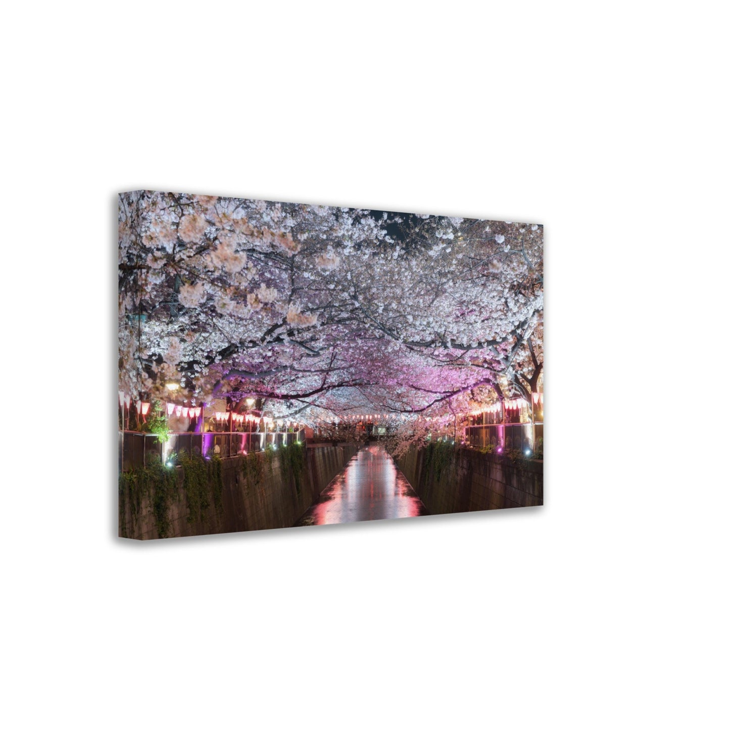 Thin Canvas Cherry blossom lined Meguro Canal at night in Tokyo, Japan. Springtime in April in Tokyo, Japan - JAPAN - Green Forest Home