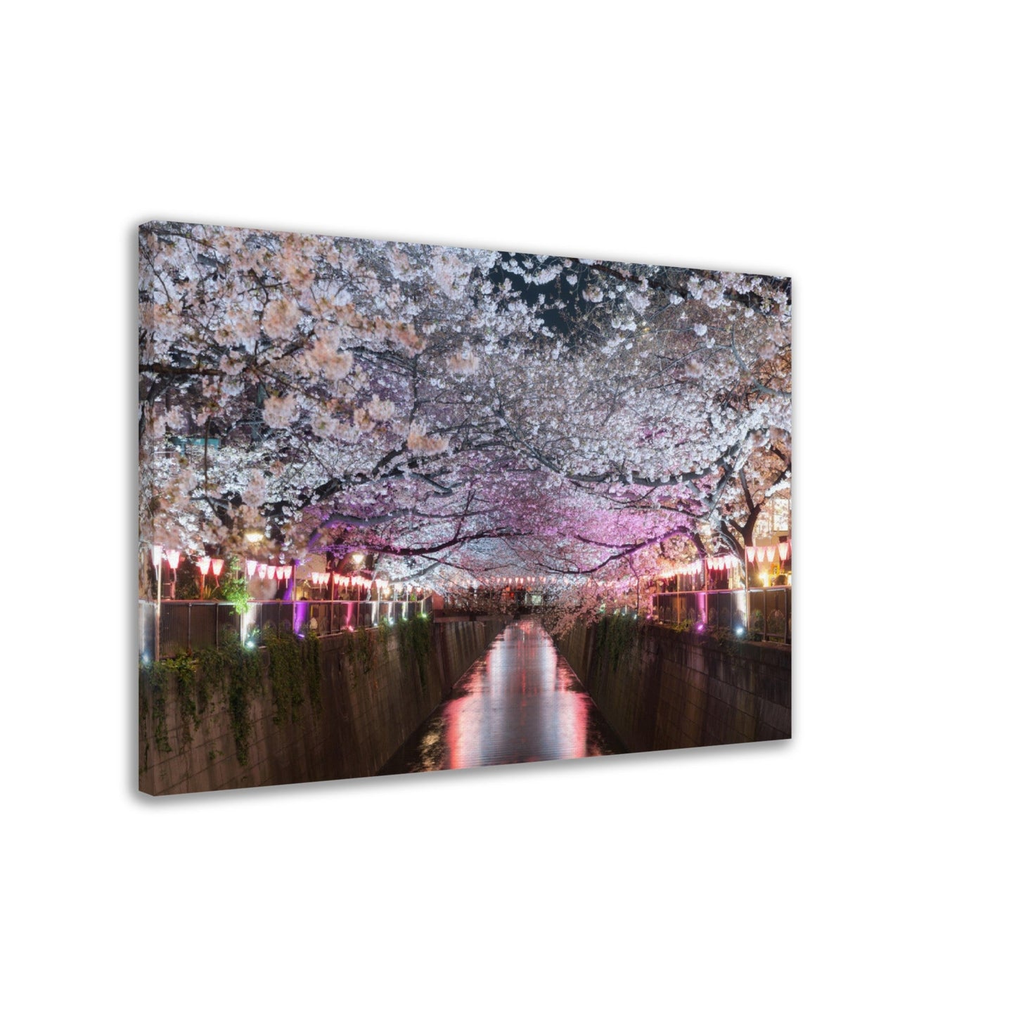 Thin Canvas Cherry blossom lined Meguro Canal at night in Tokyo, Japan. Springtime in April in Tokyo, Japan - JAPAN - Green Forest Home