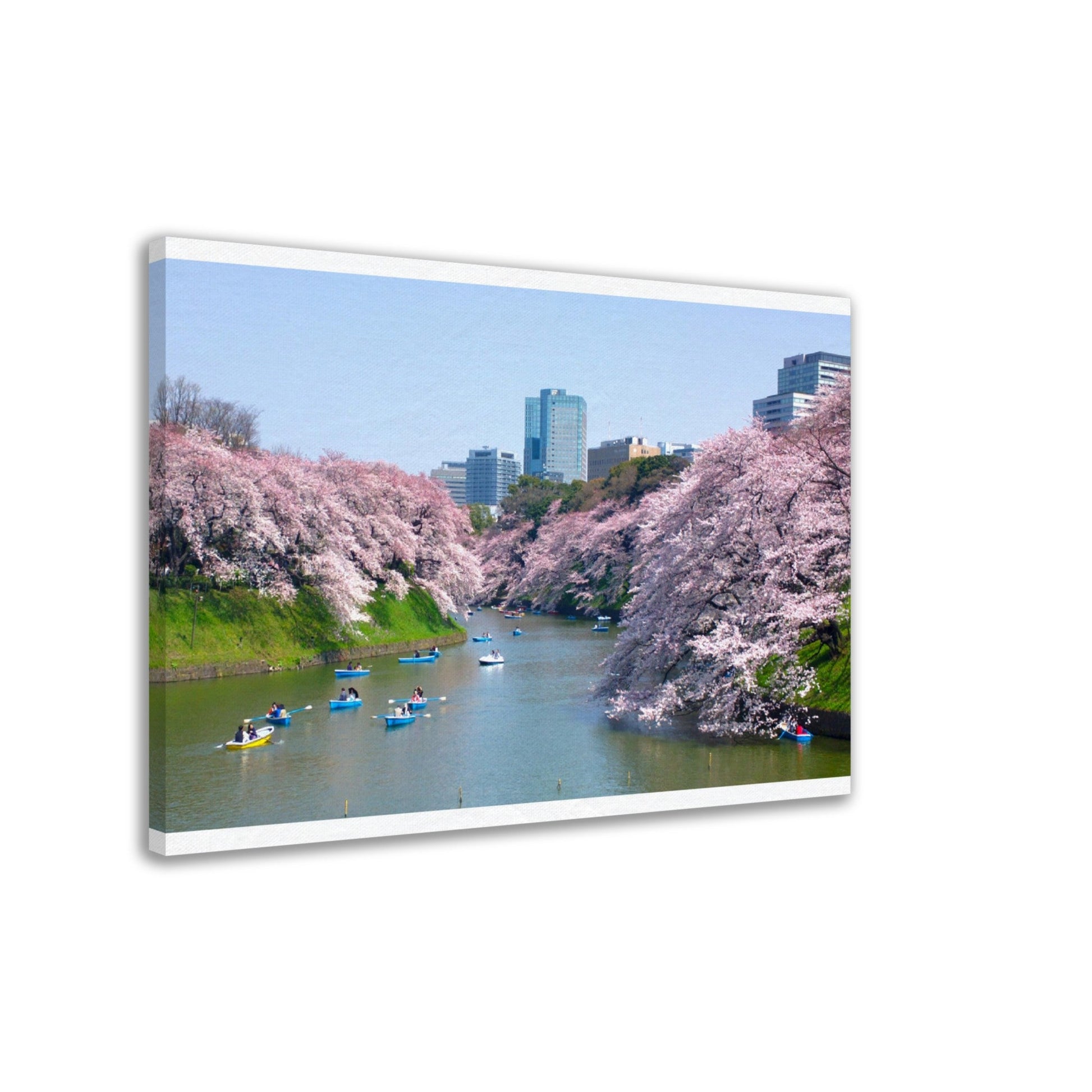 Thin Canvas - Cherry blossoms at Chidorigafuchi in TOKYO JAPAN - Green Forest Home