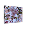 Thin Canvas Close-up Japan cherry blossom pink flower sakura branch nature - JAPAN - Green Forest Home